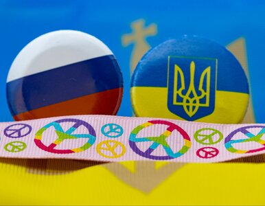 Miniatura: Rachunek Polski za wojnę w Ukrainie –...