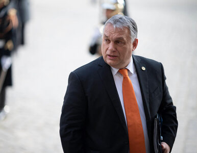 Miniatura: Wybory na Węgrzech. Viktor Orban ma powody...