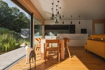 Dom nad jeziorem, projekt Lukáš Pejsar z 3AE 