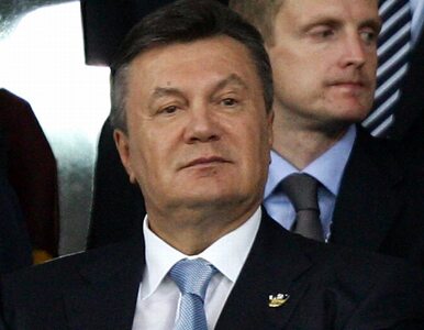 Miniatura: Janukowycz jak Tymoszenko trafi do więzienia?
