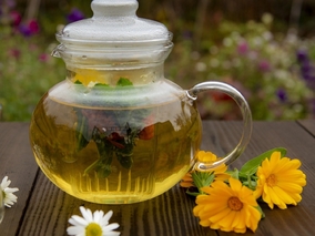 Nagietek chroni przed rakiem i wspomaga odchudzanie. Jak go stosować?