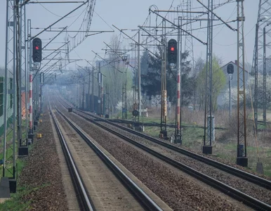 Miniatura: 5-letnie dziecko obok torów w Nowej Soli....