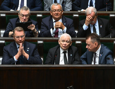 Miniatura: PiS chce wyciągać posłów od Morawieckiego....