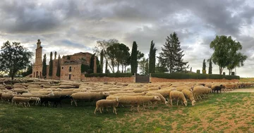 Zdjęcie panoramiczne 