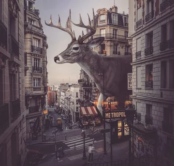 Surrealistyczny świat 