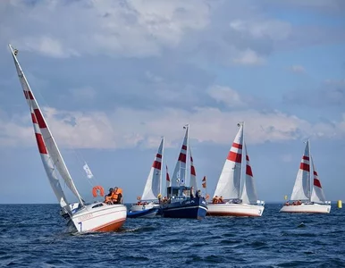 Miniatura: Polski biznes pływał w Gdyni na rzecz...