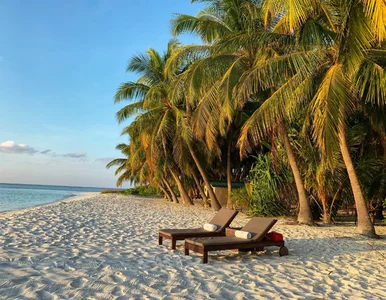 Miniatura: Tak trudnego quizu z geografii jeszcze nie...