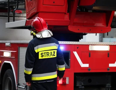 Miniatura: Ogromna ulewa w Rabce-Zdroju. Woda wdarła...