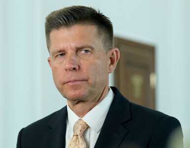 Miniatura: Nowa partia dla przedsiębiorców. Projekt...