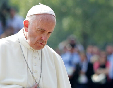 Miniatura: Papież przeprasza za obraźliwe słowa. „Nie...