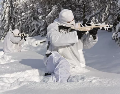 Miniatura: Skandynawskie strachy. "Granice między...