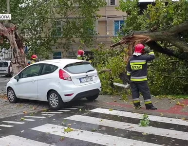 Miniatura: Wichury i burze nad Polską. Jedna osoba...