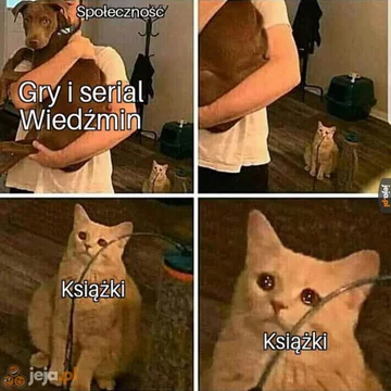 Mem inspirowany grami z serii Wiedźmin 