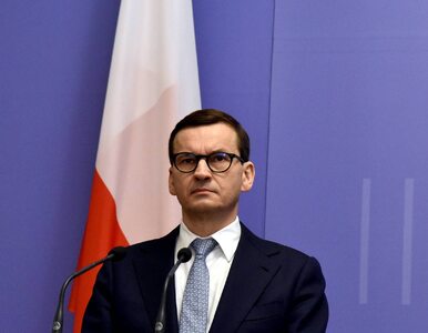 Miniatura: Polska wyśle amunicję na Ukrainę. Premier...