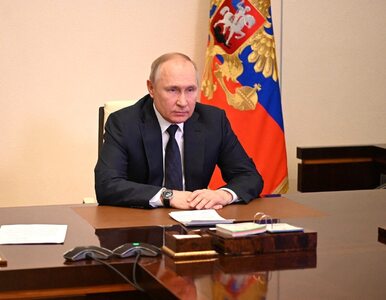 Grafika z pomalowanym Putinem podbija internet. Można za nią trafić do...
