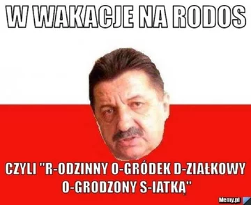 Memy na koniec roku szkolnego 