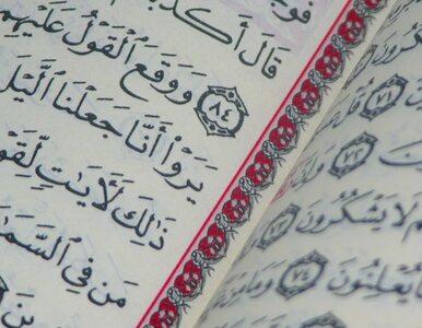 Miniatura: To najstarszy Koran świata? Pochodzi z...