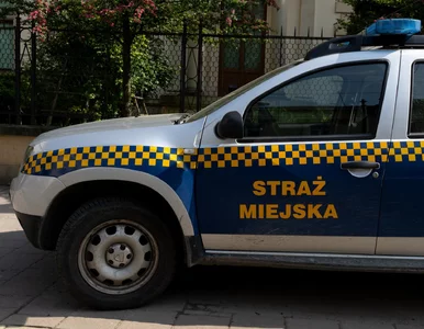 Miniatura: Ruszył sezon grzewczy. Straż miejska...