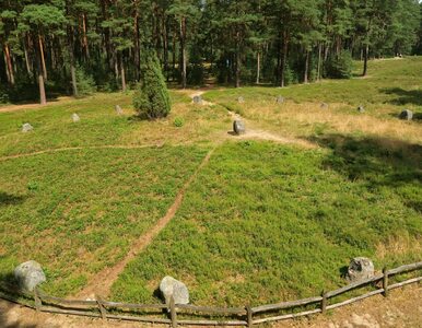 Miniatura: Polskie Stonehenge w lesie koło...
