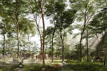 Xylopolis &bdquo;Brama do&nbsp;Puszczy &ndash; zwycięski projekt pracowni WXCA na&nbsp;Centrum Sztuki i&nbsp;Nauki o&nbsp;Drewnie w&nbsp;Hajn&oacute;wce, zaprojektowany z&nbsp;myślą o&nbsp;harmonijnym połączeniu architektury z&nbsp;krajobrazem Puszczy Białowieskiej
