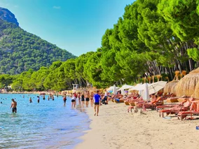 Miniatura: To może być lepsze niż wyjazd sylwestrowy....