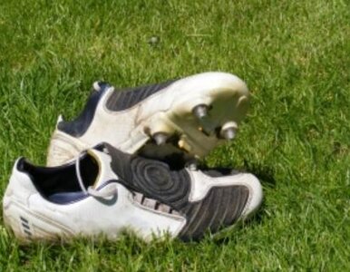 Miniatura: Wzrasta wartość rynku sportowego. Sprzyja...