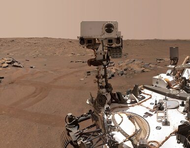 Smutny koniec przyjaźni na Marsie. Łazik NASA stracił swojego „pupila”