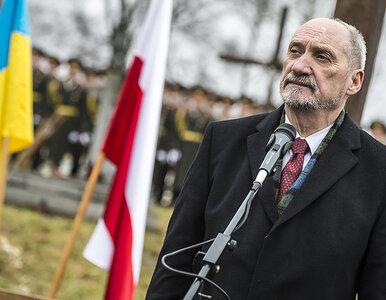 Miniatura: Macierewicz: Wojciech Jaruzelski i Czesław...