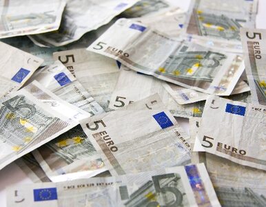Miniatura: Niemcy wierzą w euro. Ale nie wierzą w Grecję