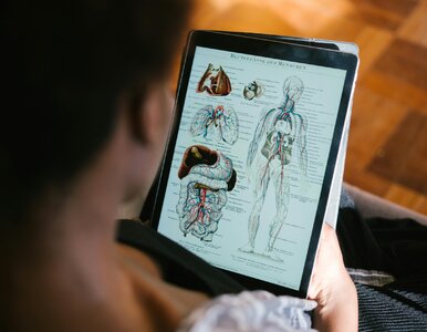 Miniatura: Prosty QUIZ z anatomii. Wstyd tego nie...