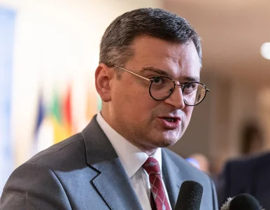 Miniatura: Szef ukraińskiej dyplomacji nie miał...