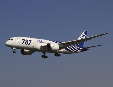 Miniatura: Dreamliner. Czarna seria trwa - kolejne...