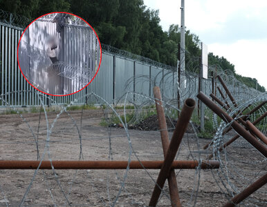 Miniatura: Akcja migrantów przy granicy...
