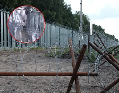 Miniatura: Akcja migrantów przy granicy...