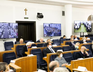 Miniatura: Senat odrzucił ustawę o głosowaniu...