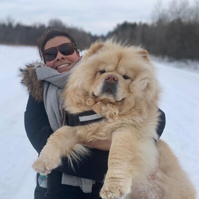 Miniatura: Winston – jedyny w swoim rodzaju pies rasy...