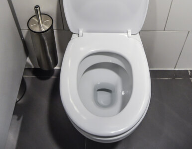 Miniatura: Soda i ocet to za mało, żeby wyczyścić...