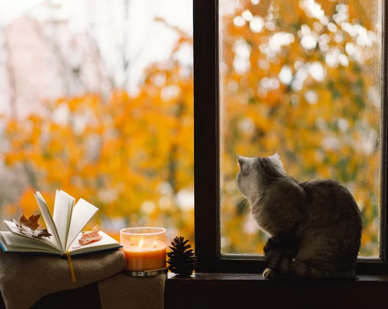 Miniatura: Trudny QUIZ ortograficzny na deszczowy...