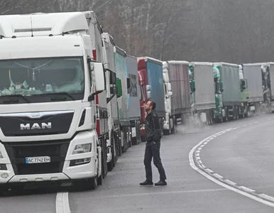 Miniatura: Polska branża transportowa na skraju...