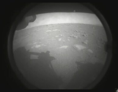 Miniatura: Pierwsze zdjęcia z Marsa wykonane przez...