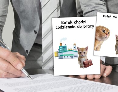 Miniatura: Takiej kampanii jeszcze nie było....