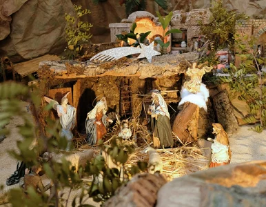Miniatura: Największa szopka w Europie prawie gotowa....