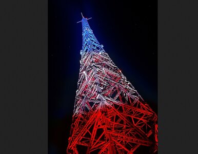 Miniatura: Gliwicka Radiostacja w barwach Francji