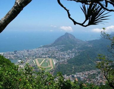 Miniatura: Rio de Janeiro pokryte tajemniczym pyłem