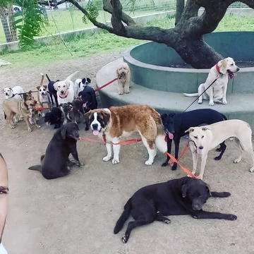 León Dario Sipes i jego podopieczni 