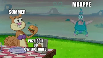 Mem po meczu Szwajcarii z Francją 