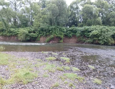 Miniatura: 21-latek nagle zniknął pod wodą. Horror...