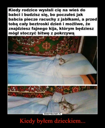 Dzień Babci i Dziadka za nami. Na wspomnienia najlepsze są MEMY 