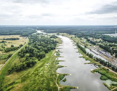 Miniatura: To niemieckie firmy przegrzały Odrę?...