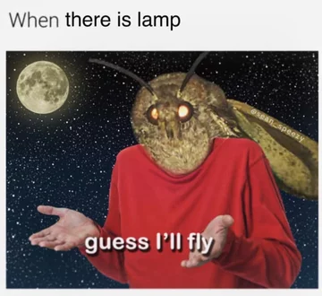 Mem z ćmą 